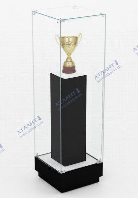 Музейная витрина В.М.П-1