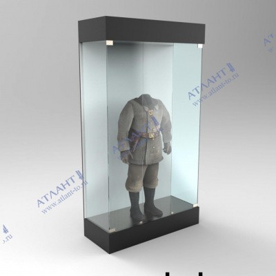 Витрина музейная В.М.М.1