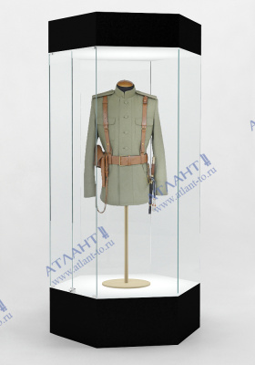 Музейная витрина В.М-6